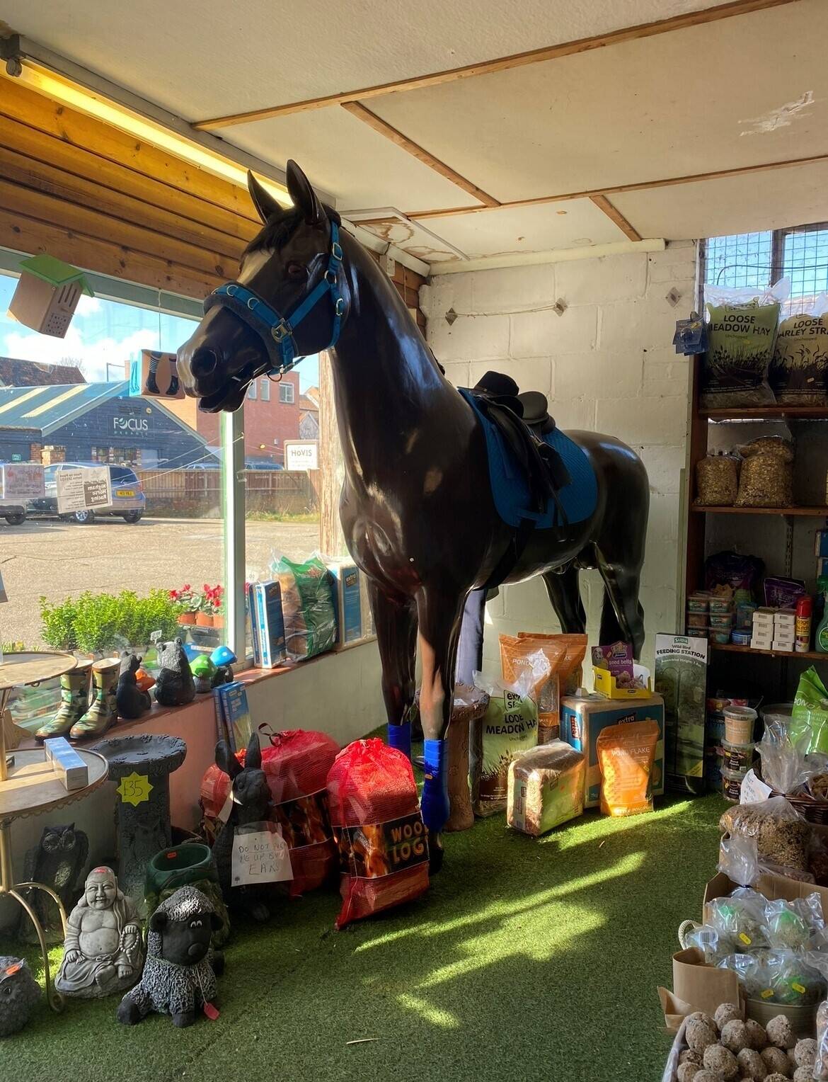 HALESWORTH HORSE AND GARDEN Photo 5