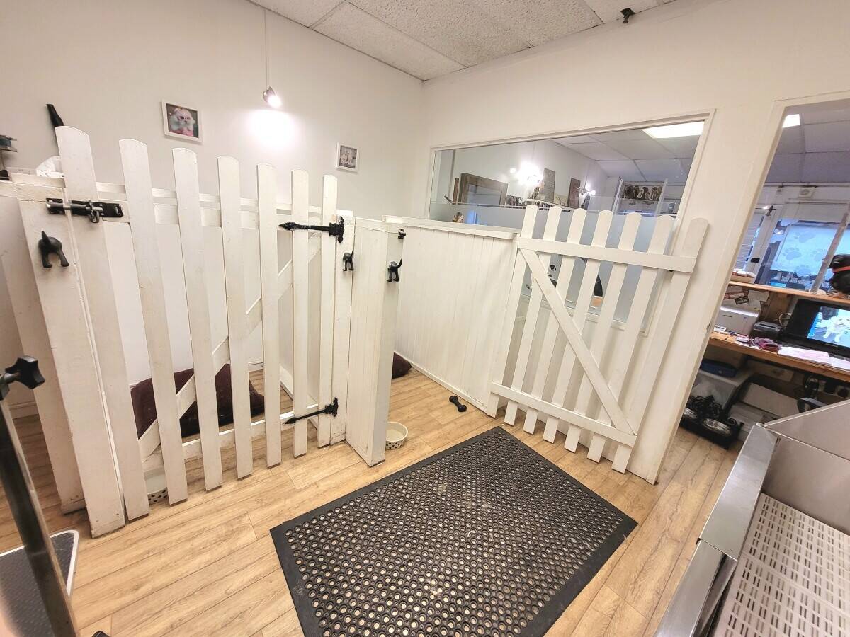 DOG GROOMING BUSINESS FOR SALE, Henfield, West Sussex Photo 5