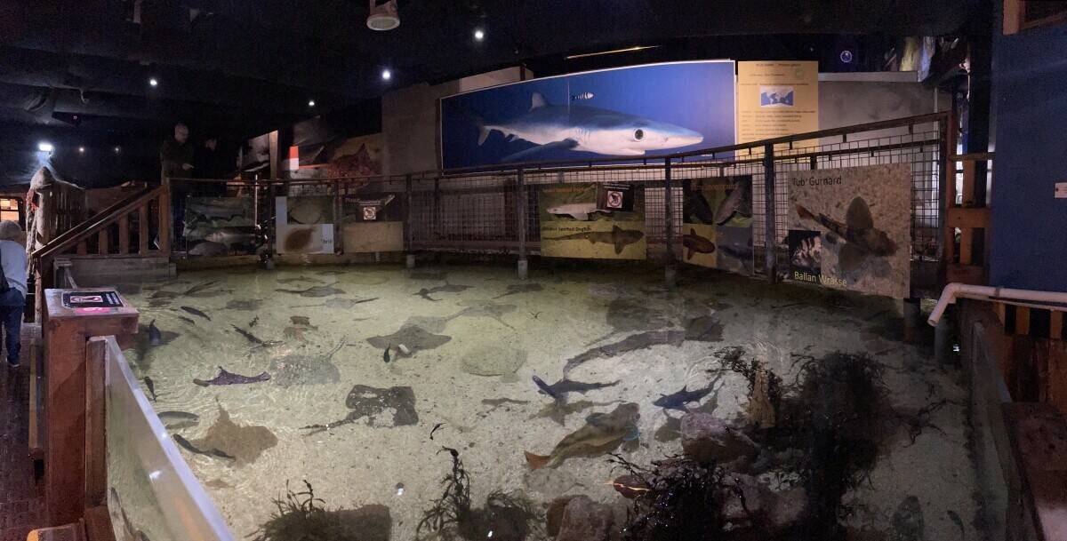 Award winning Aquarium  with catering, retail and tourist attraction Photo 5