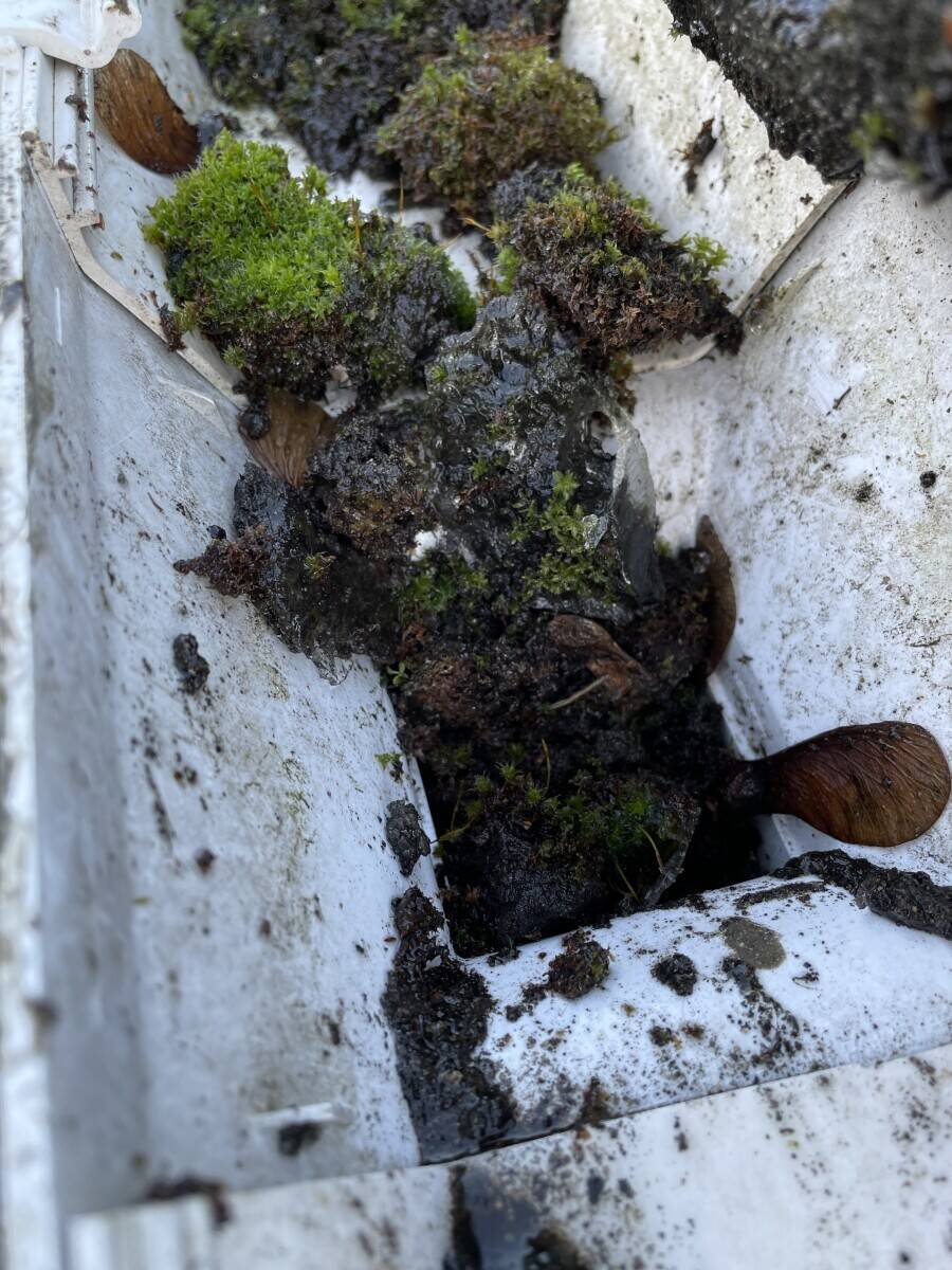 Very well established gutter maintenance company Photo 5