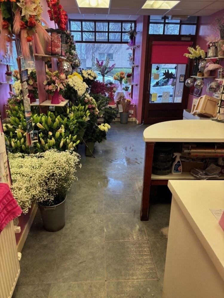 Long Established Florist - Falkirk