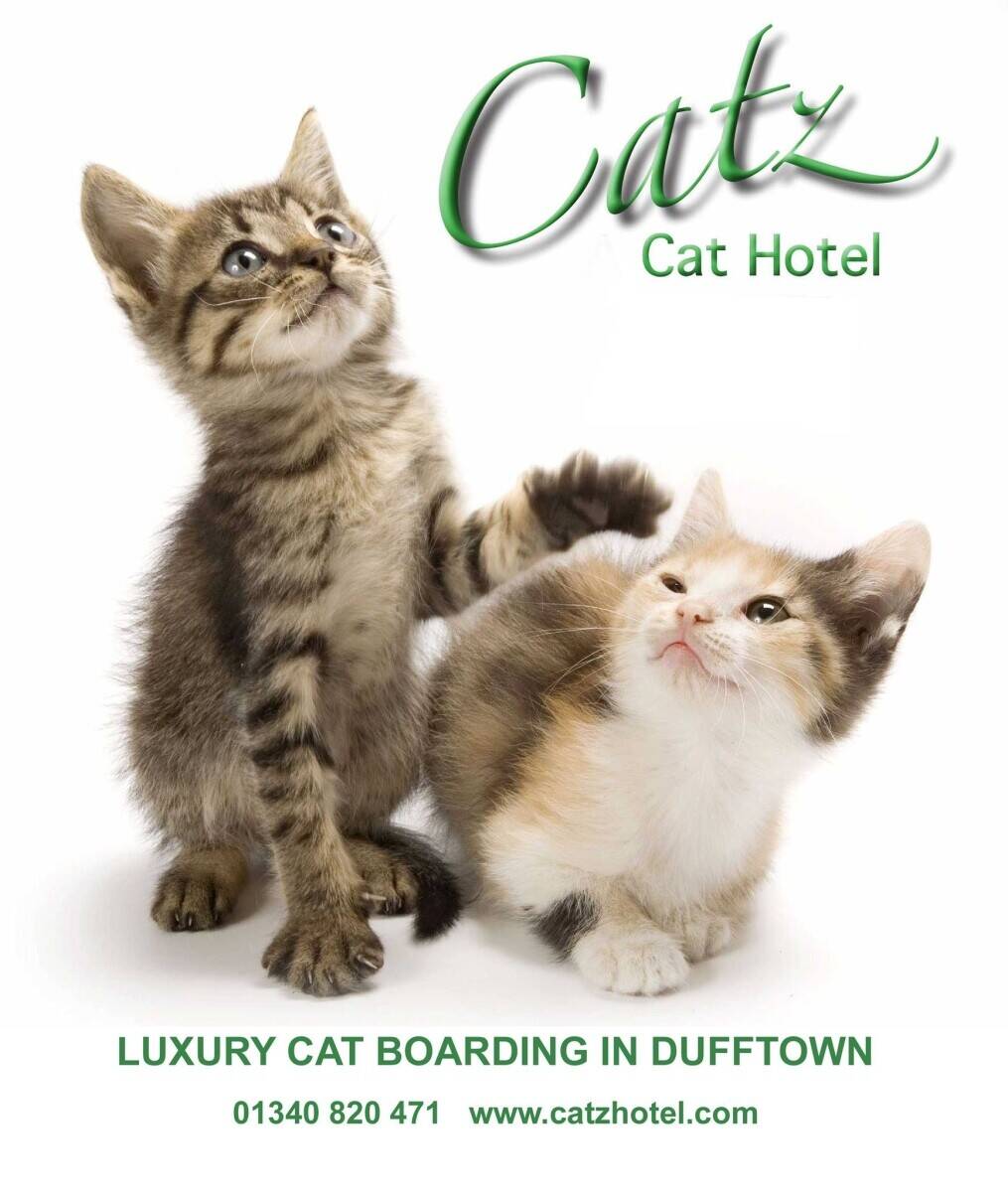 Successful in-house cattery for sale, Dufftown