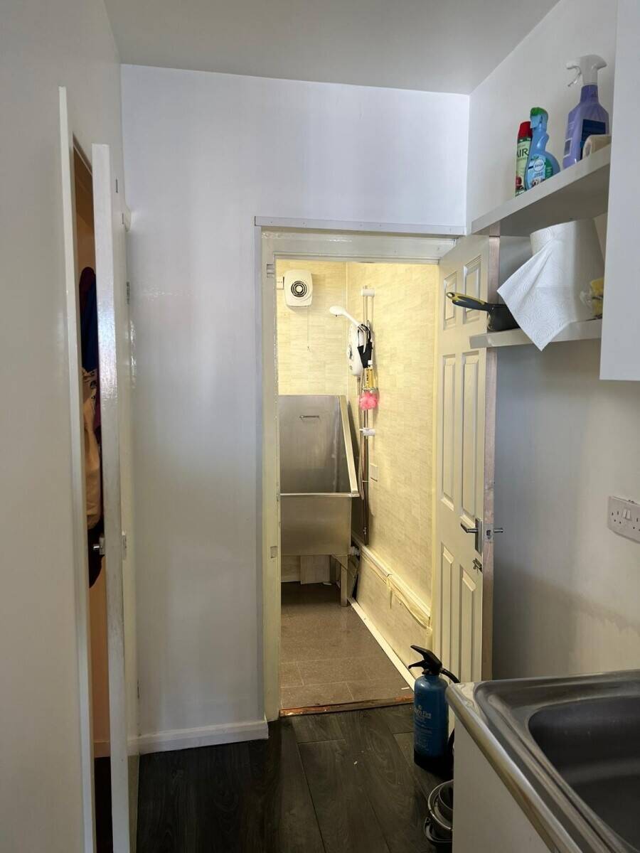 Dog Groomers near Birkenhead town centre Photo 6