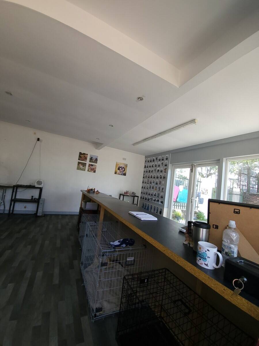 Dog groomers shop for rent