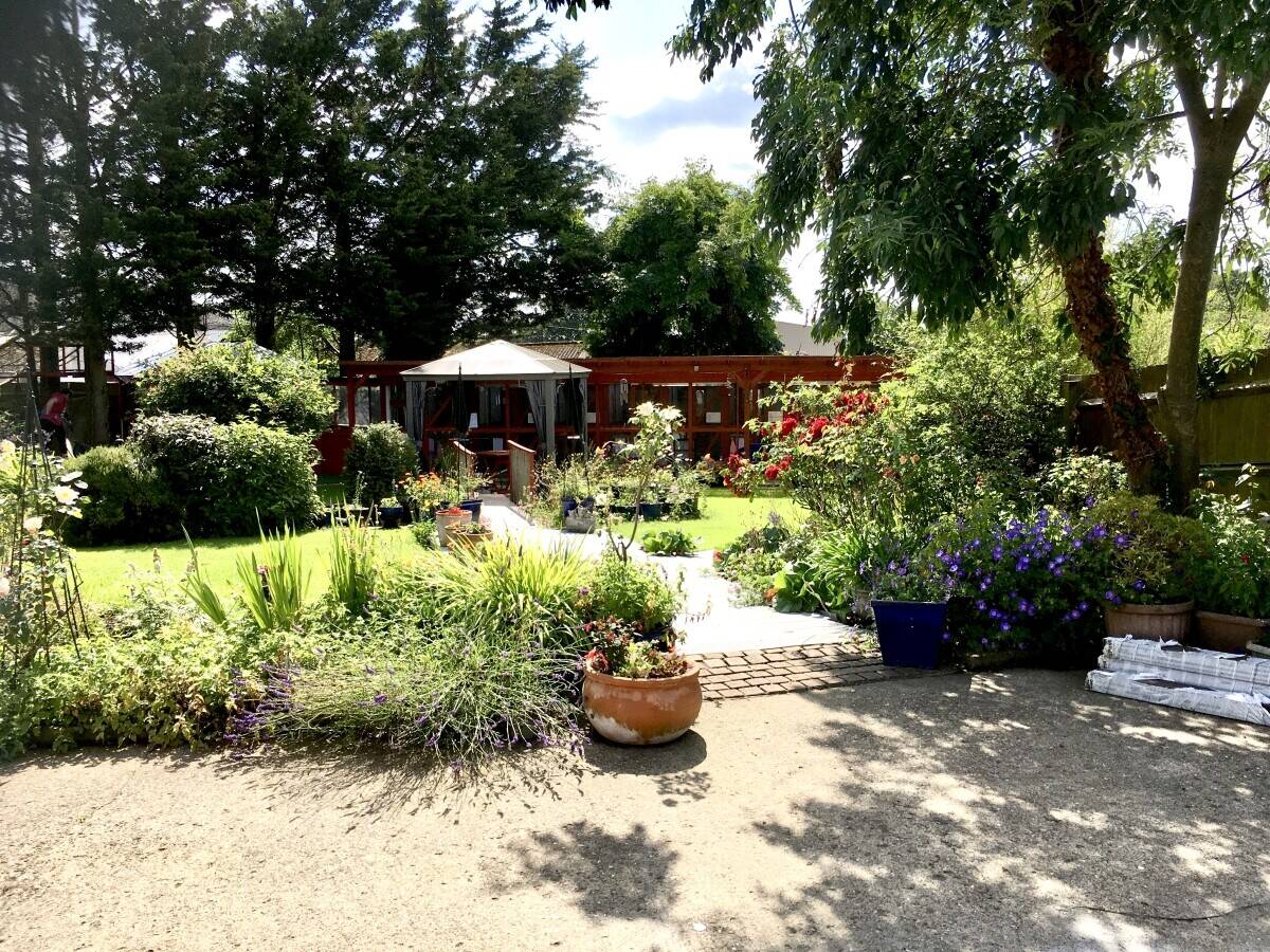 Boarding cattery in Desborough Northants