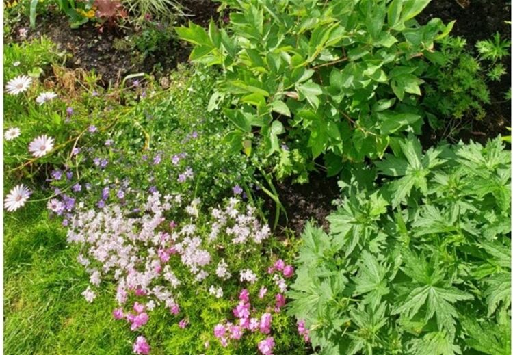 RE-LOCATABLE COMPOST COMPANY NORTHAMPTONSHIRE
