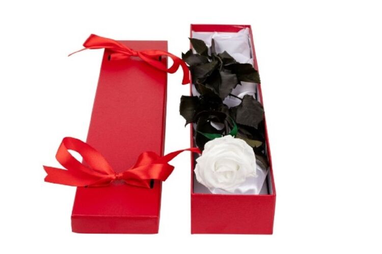 Established Relocatable Eternity Rose Business