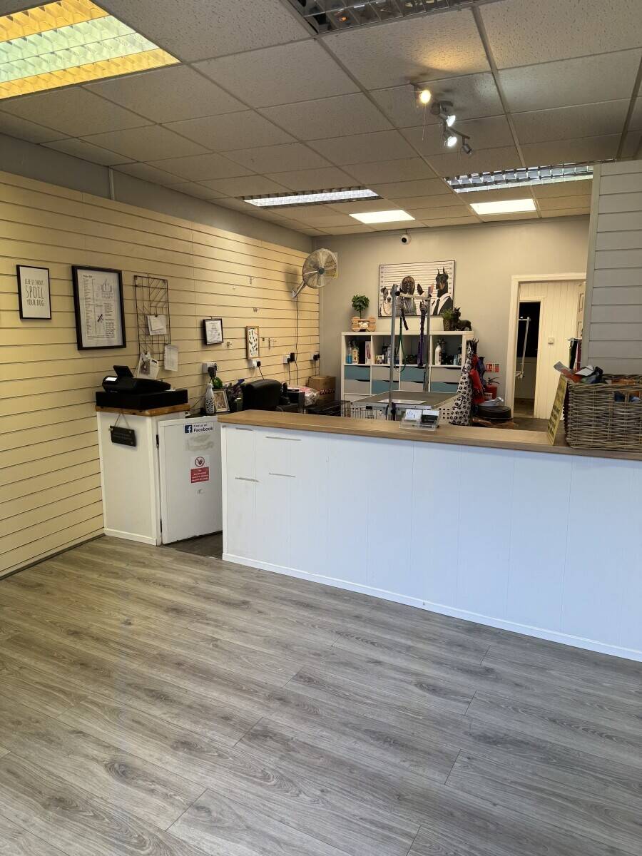 Dog grooming business for sale Tonypandy 