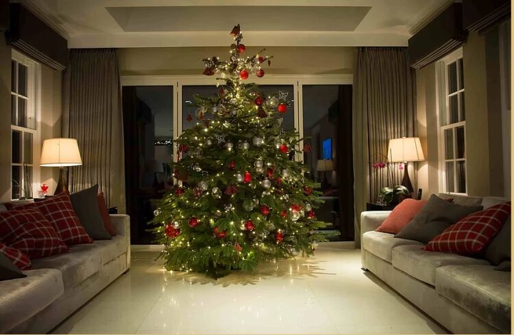 Established Install Company of Seasonal Decor