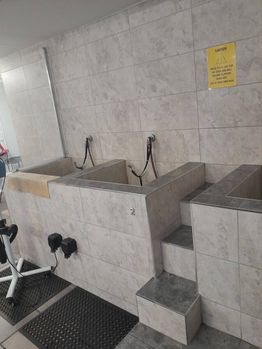 Doggie Wash and Grooming in Dorchester Photo 5