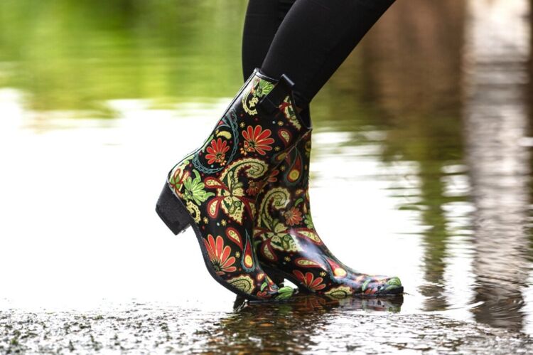 Established Online Footwear Retailer Photo 5