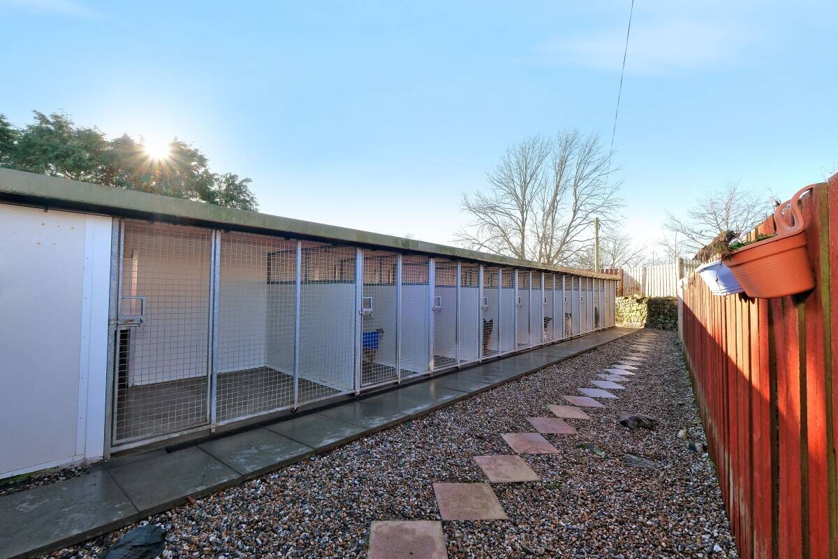 Luxury Boarding Kennel and Stunning 4 Bedroom Home
