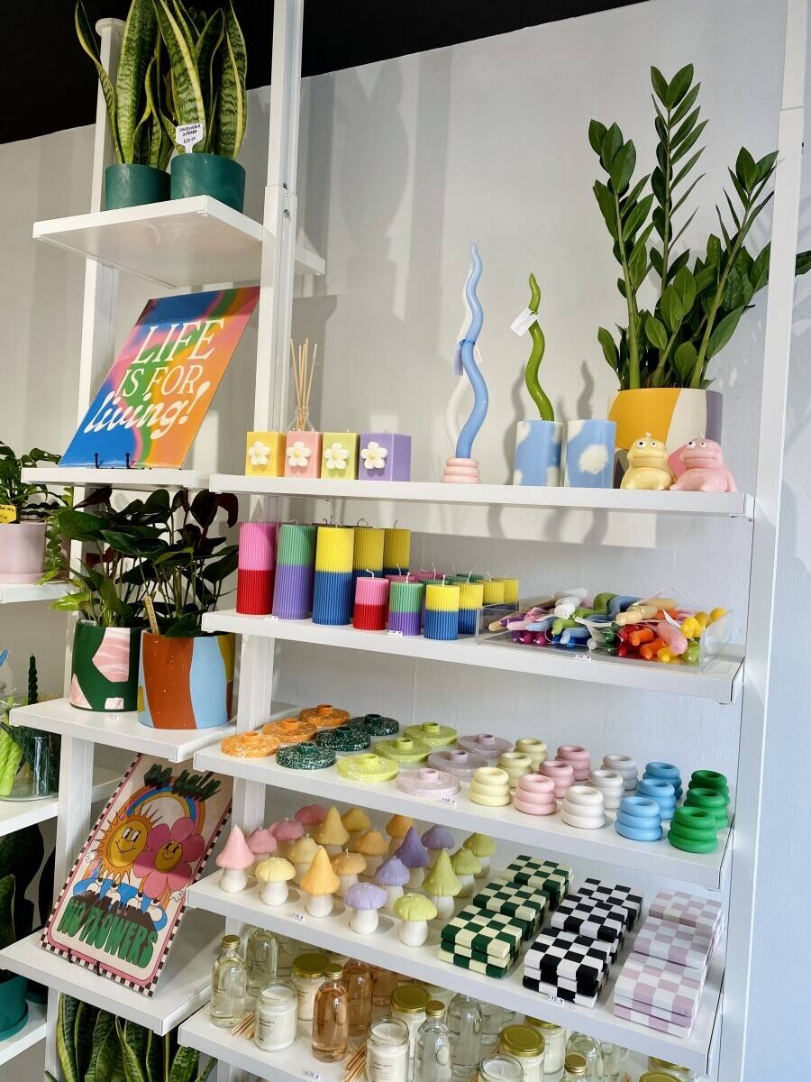 Shrubs & Dubs! The first plant and record shop!