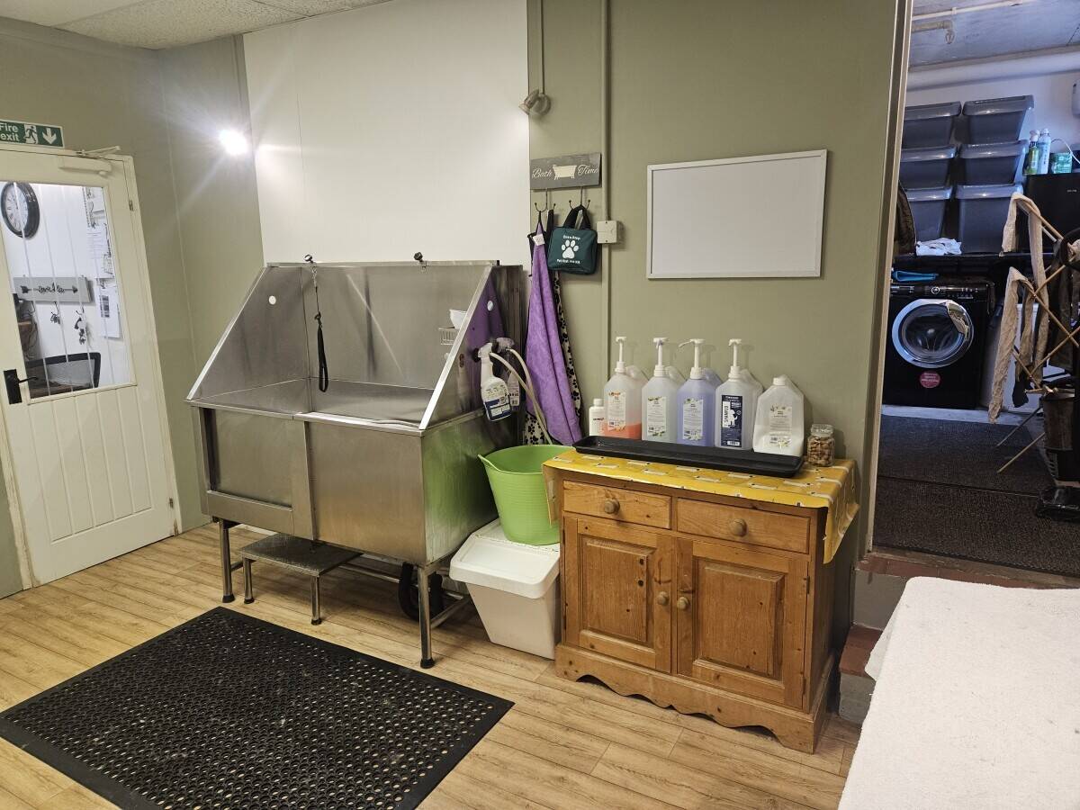 Dog grooming business in Henfield 