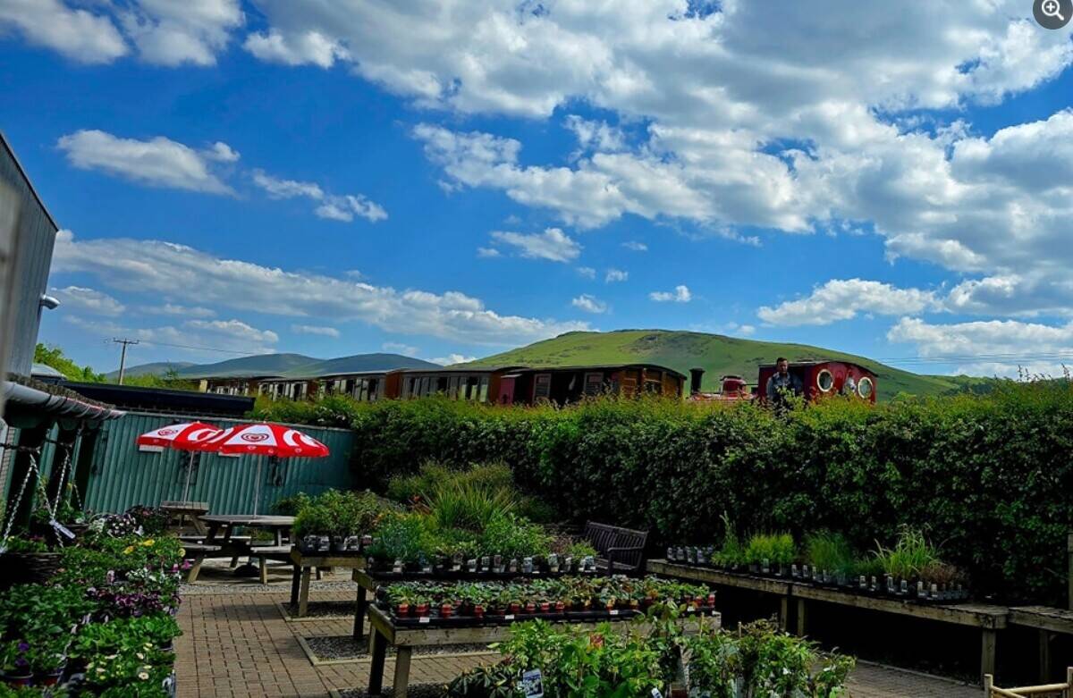 Garden Centre, Gift Shop & Cafe for sale on the Mid Wales Coast