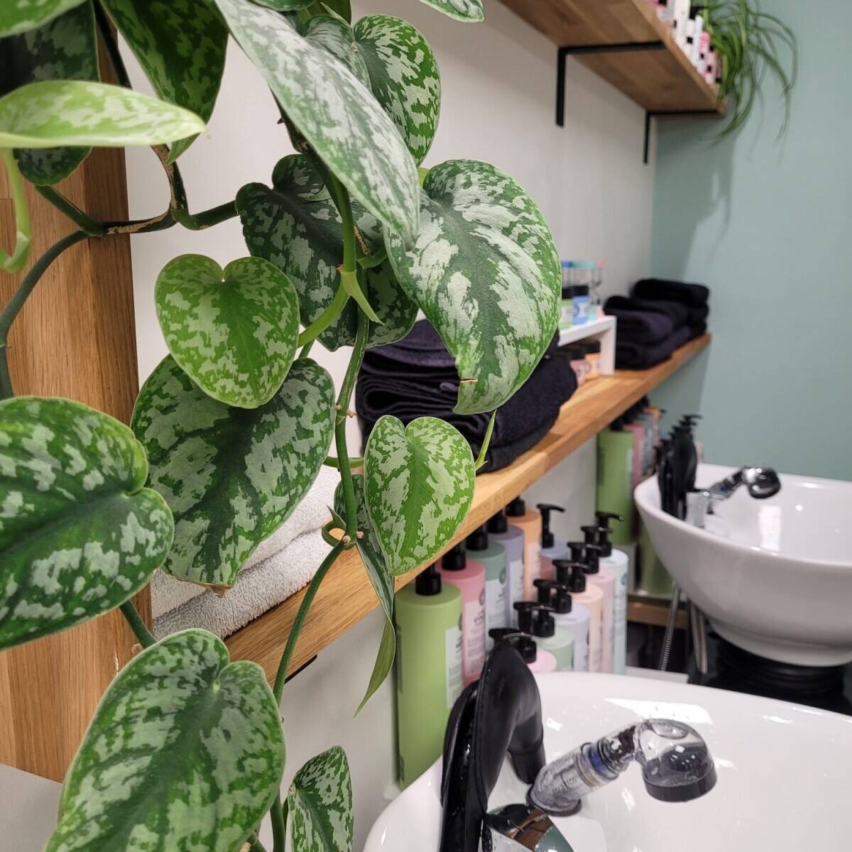 Boutique Salon &ndash; Reduced Price - Turnkey Business in Prime Location Photo 4
