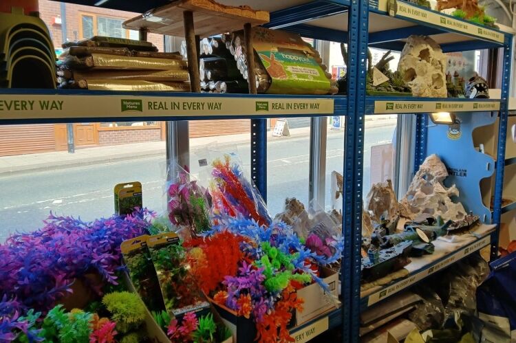 Established Pet & Aquarium Shop - Heywood