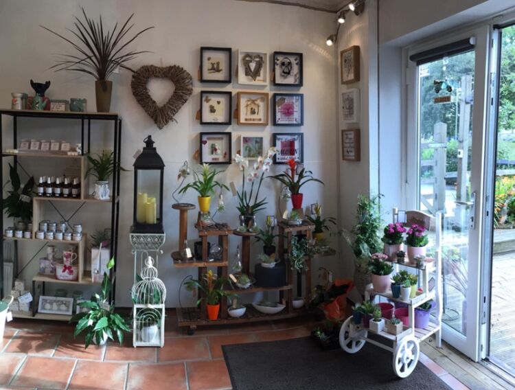 Bloom Into Business – Established Florist with Fantastic Returns