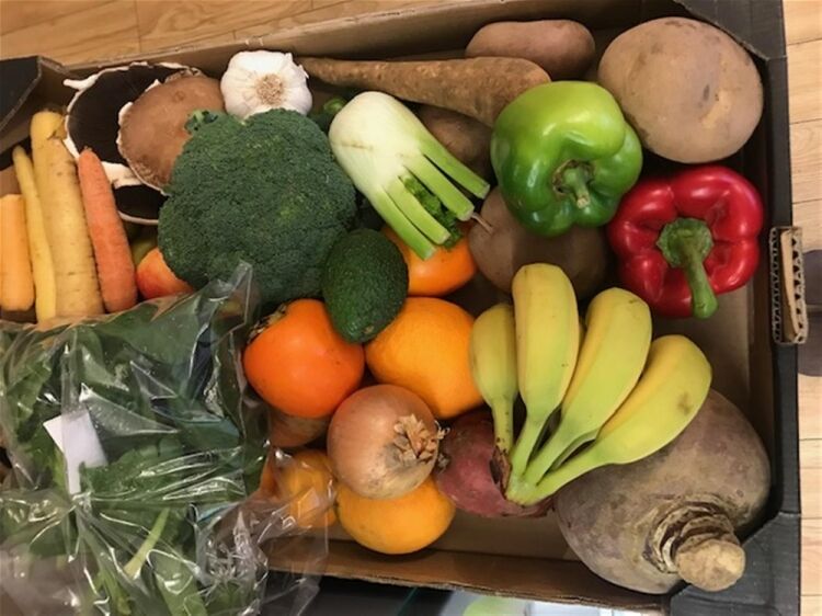 HOLISTIC WELL-BEING SHOP