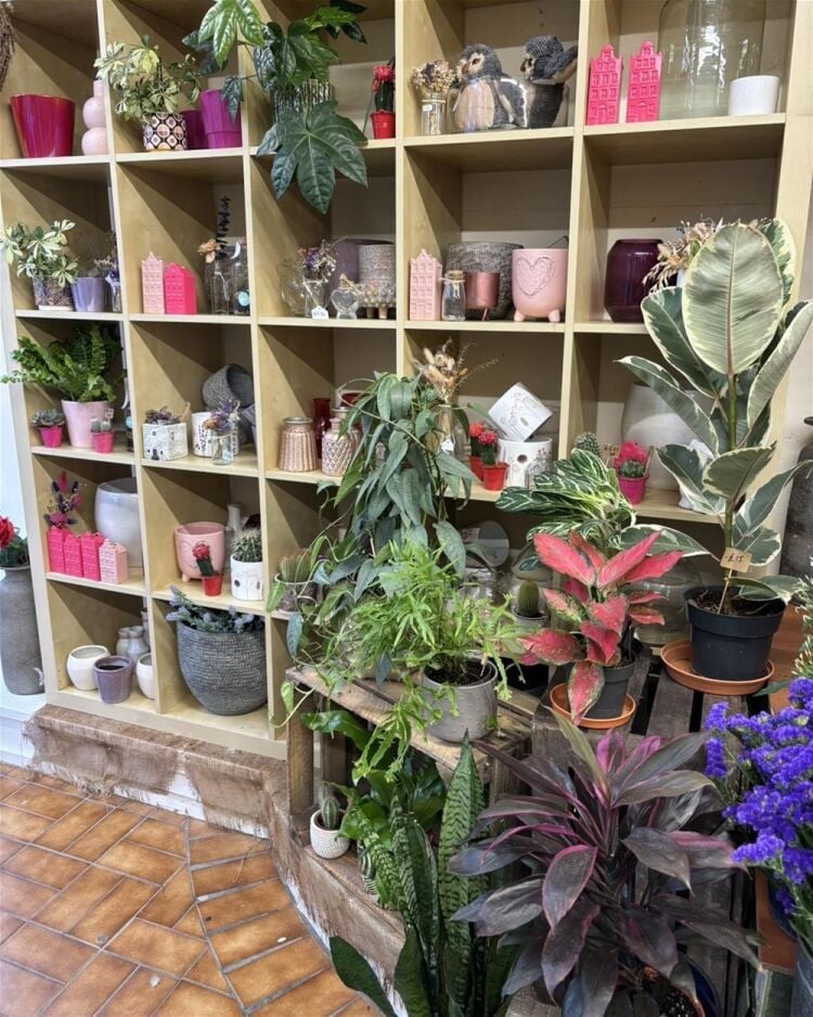 AN ESTABLISHED FLORIST
