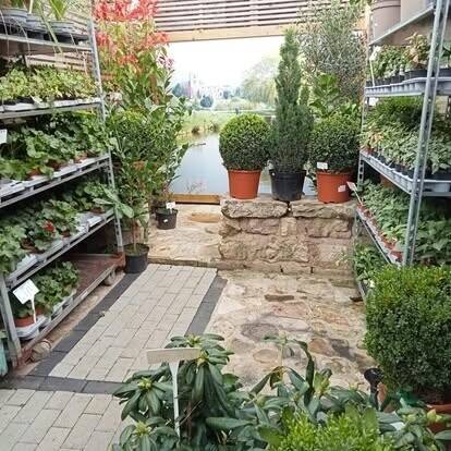 HUGELY POPULAR, GIFT STORE & GARDEN CENTRE, WARSOP  ‘FOR SALE’ Photo 5