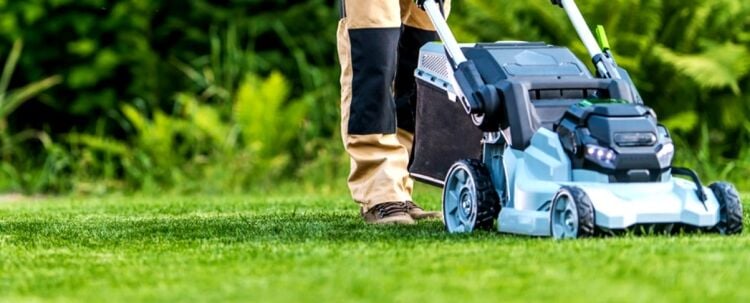 Specialist Garden Maintenance & Landscaping Business with Loyal Client Base