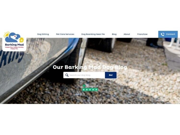 Fetch Your Dream Career with Barking Mad! Photo 5