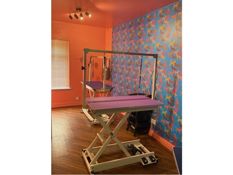 Pampered Pets Paradise – Thriving Dog Grooming Salon in Formby
