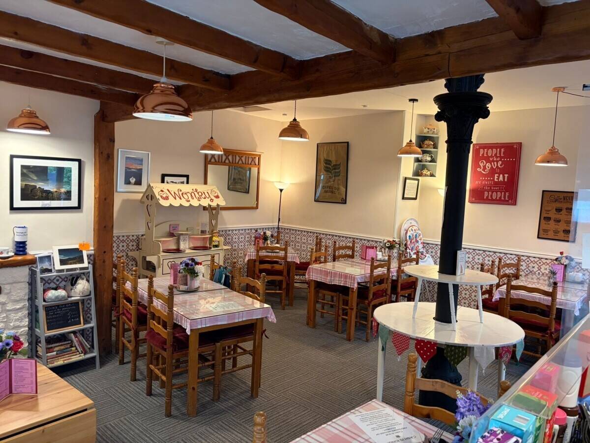 Well-Known Café Snack Bar Business Photo 5