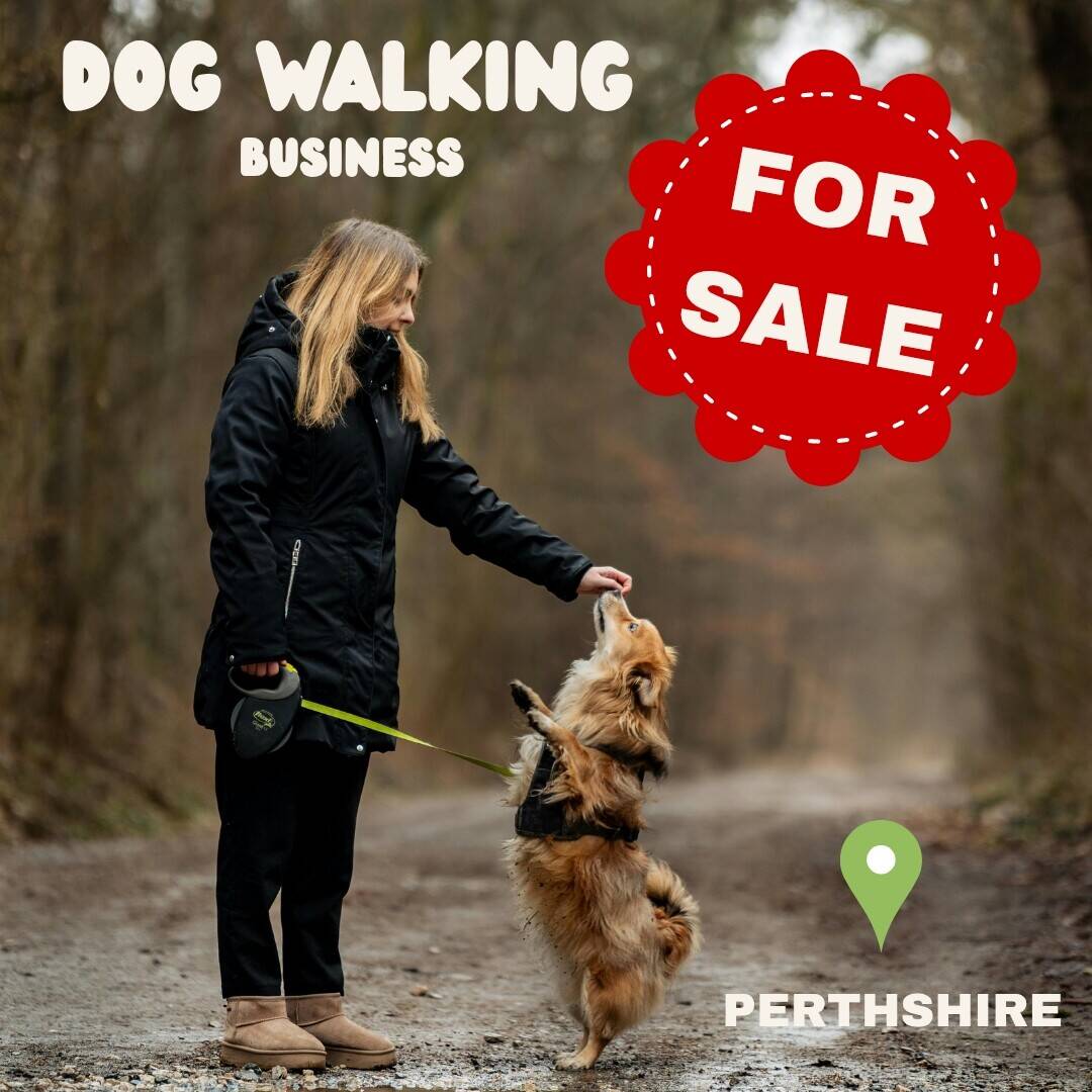 Dog walking business Perthshire