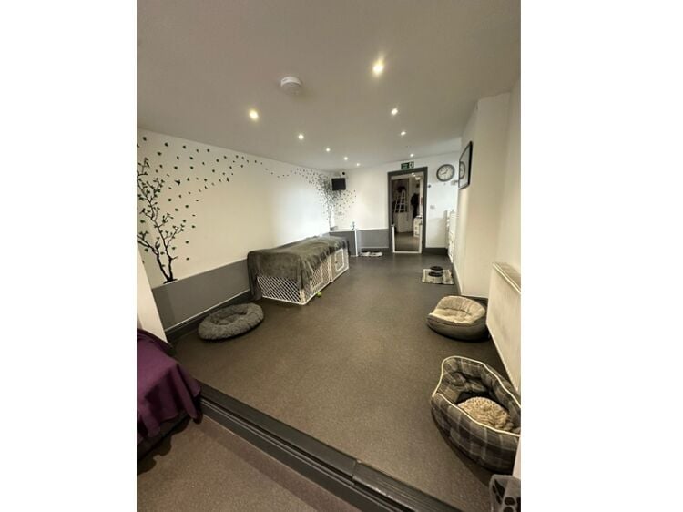 Paws, Play & Profit – Thriving Doggy Daycare with Loyal Client Base Photo 5
