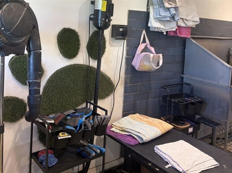Pets, Supplies & Services For Sale in Brighouse