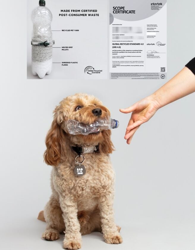 Premium Pet Accessories Brand