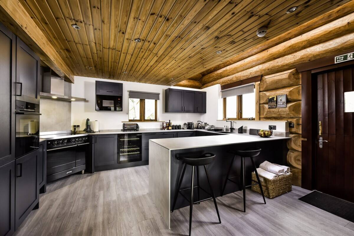 A Stunning Log Cabin with a Substantial Income Stream in The Cairngorm National Park (ref 1819)