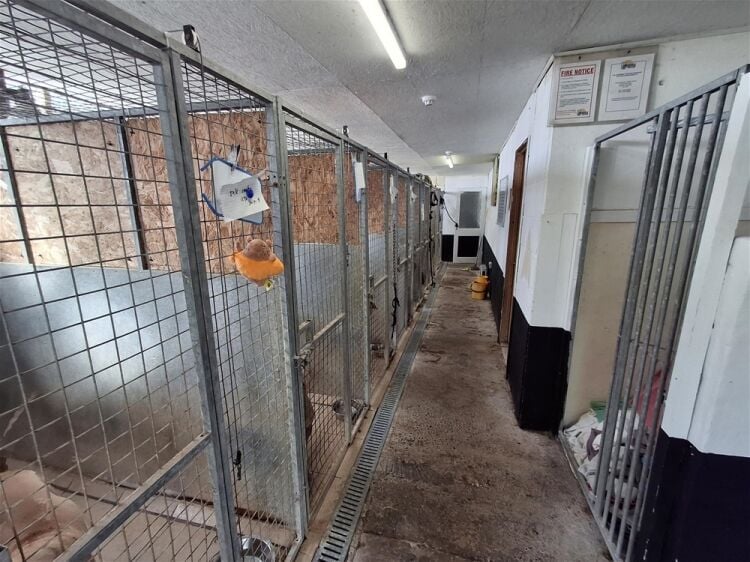 Kennels, Cattery & Equestrian businesses For Sale in Poulton-le-Fylde Photo 5