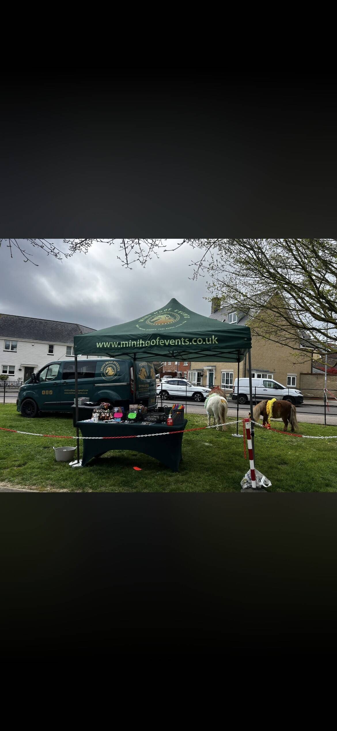 Miniature Pony Event Party Provider Business