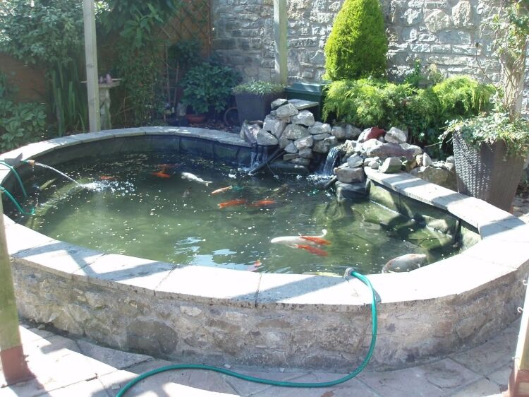 GARDEN POND MAINTENANCE & INSTALLATION Photo 5