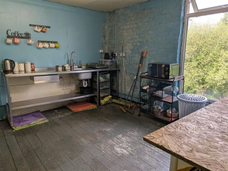 Pets, Supplies & Services For Sale in Darwen Photo 5