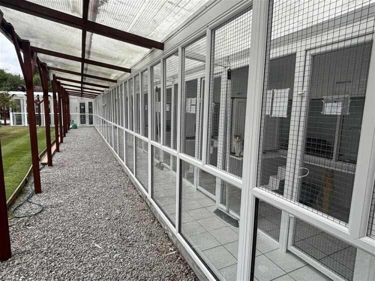 Kennels, Cattery & Equestrian businesses For Sale in Beverley