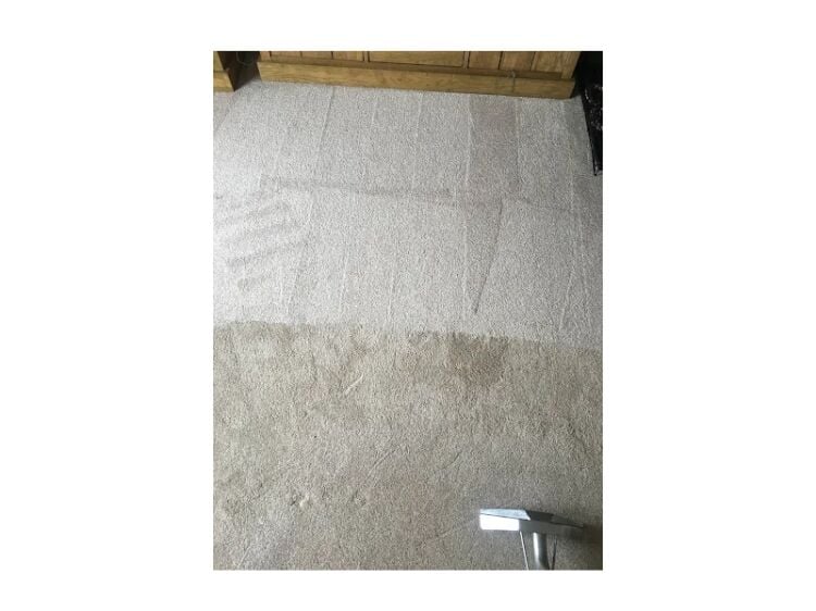 Bring Surfaces Back to Life – Thriving Carpet & Upholstery Cleaning Business