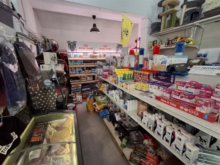 Pets, Supplies & Services For Sale in Leeds Photo 5