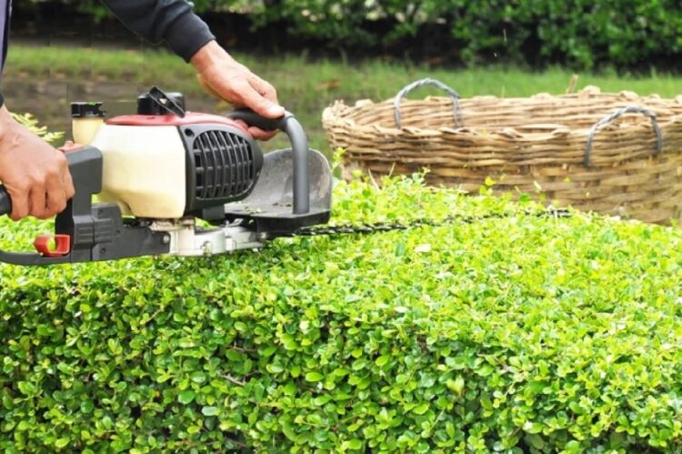 Established Relocatable Gardening Business Photo 5