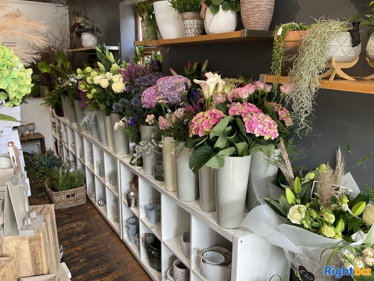 Well Established Florist / Giftware Shop