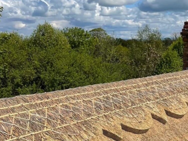 Well established Thatched Roofing Contractor for sale Photo 6