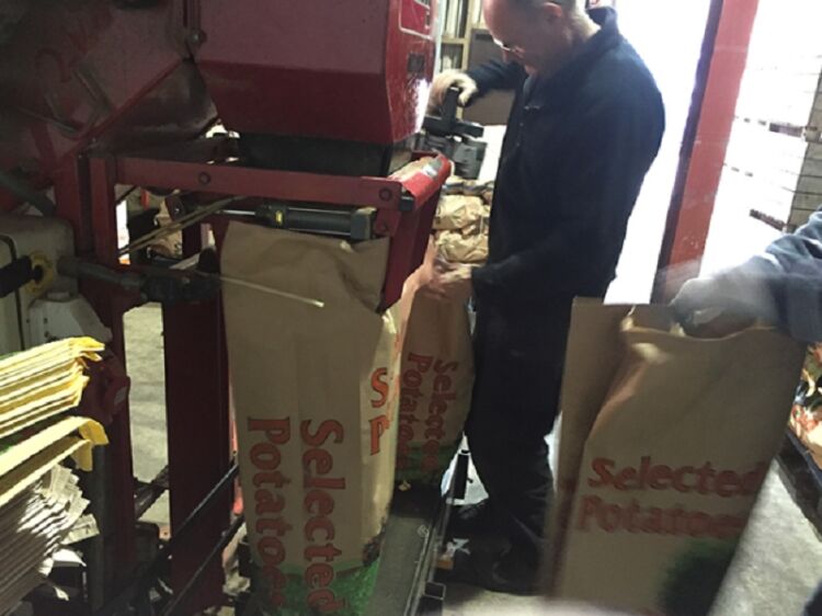 Reputable Delivery Business For Sale