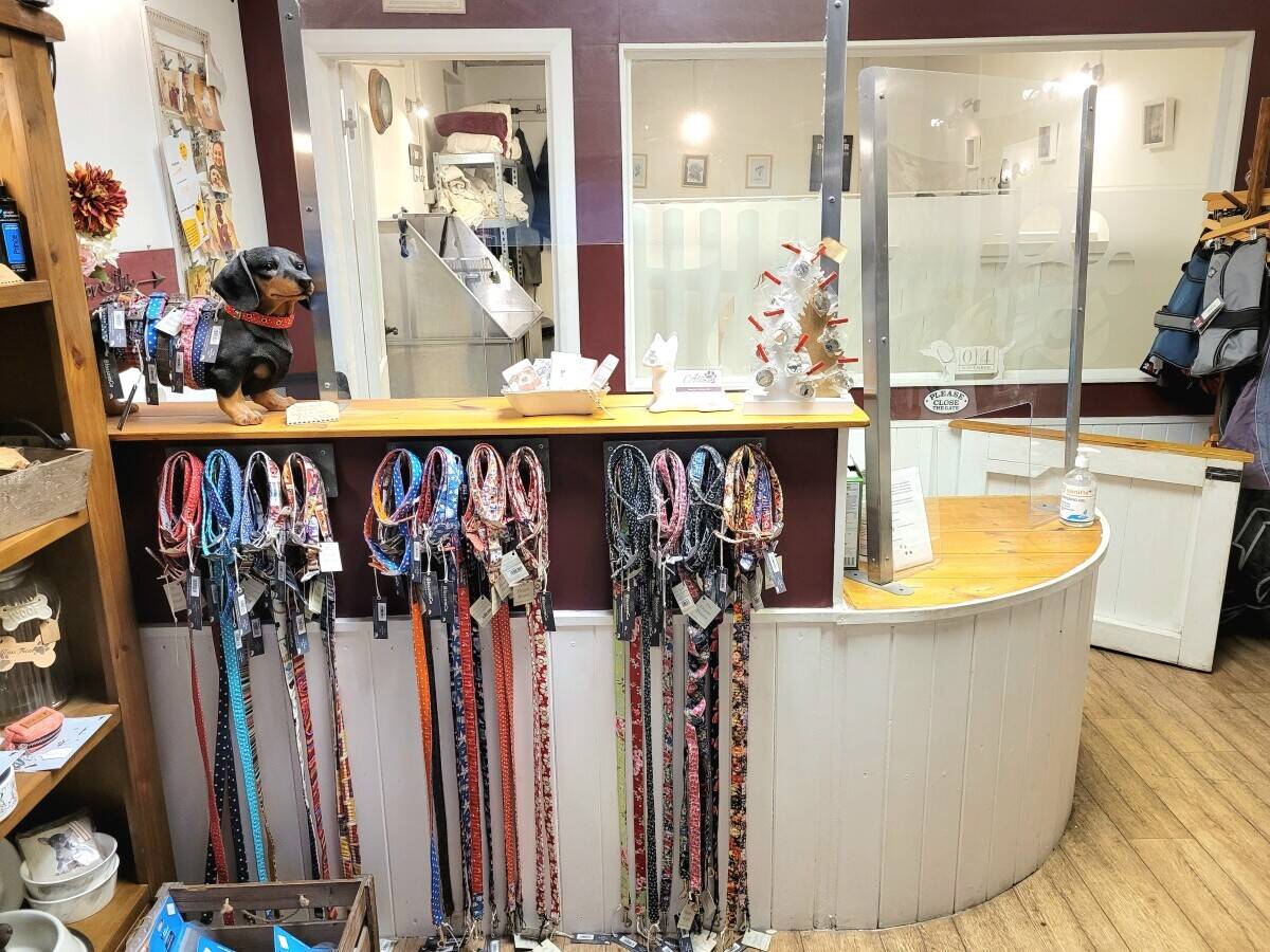 DOG GROOMING BUSINESS FOR SALE, Henfield, West Sussex