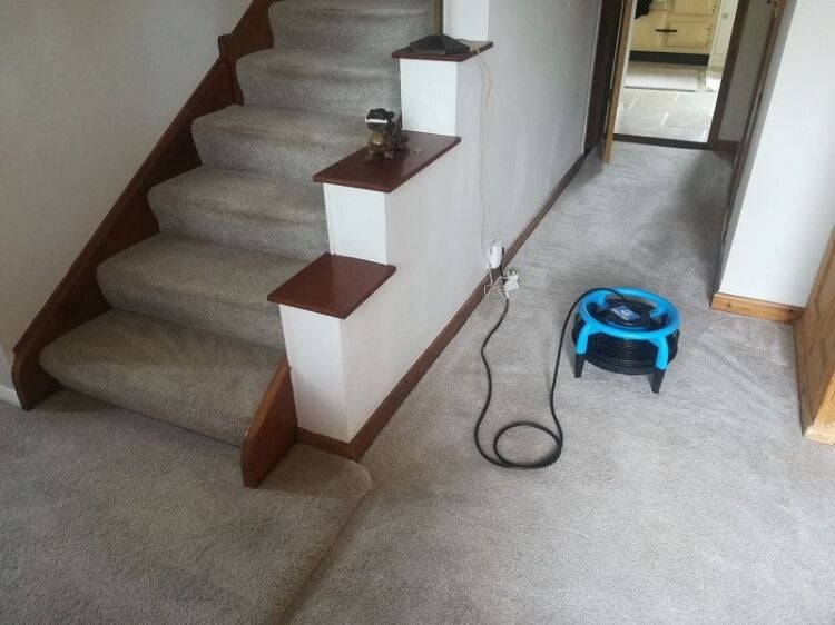 Profitable Domestic & Commercial Cleaning Company – Turnkey Opportunity