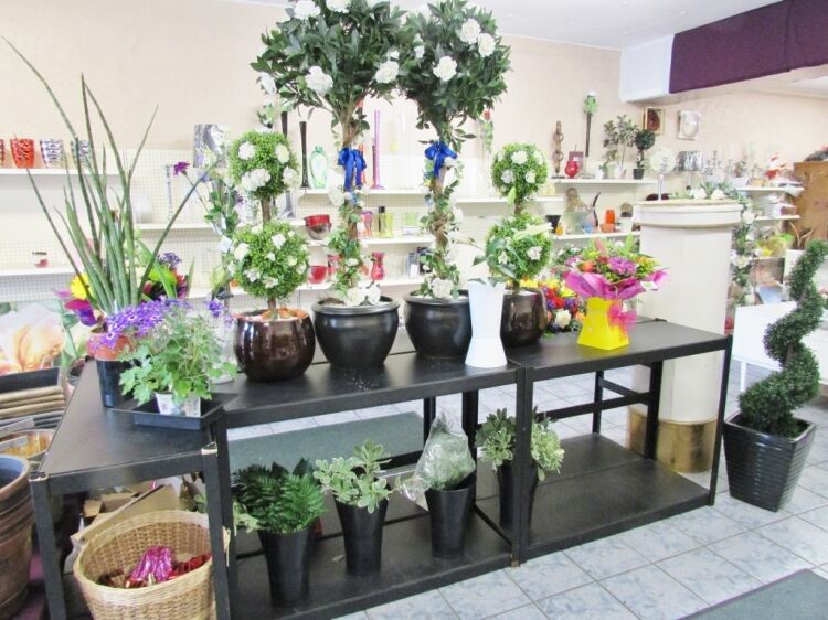 Busy Florist Business/Investment Opportunity Photo 6
