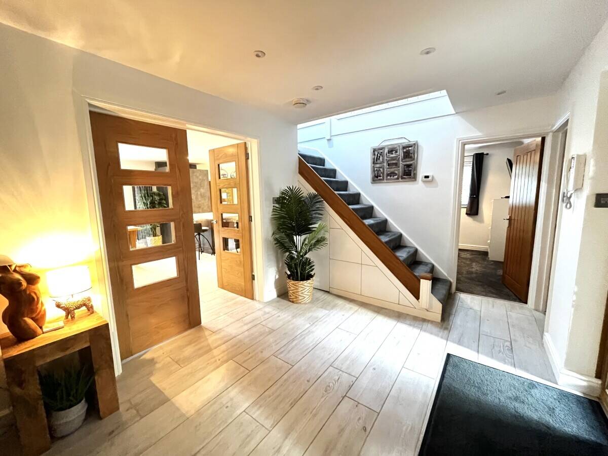 Luxury Five Star Boutique Cat Hotel and residence set in 3 acres