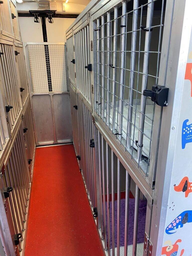 International Pet (Dogs and Cats) Transport Van - with all Licenses